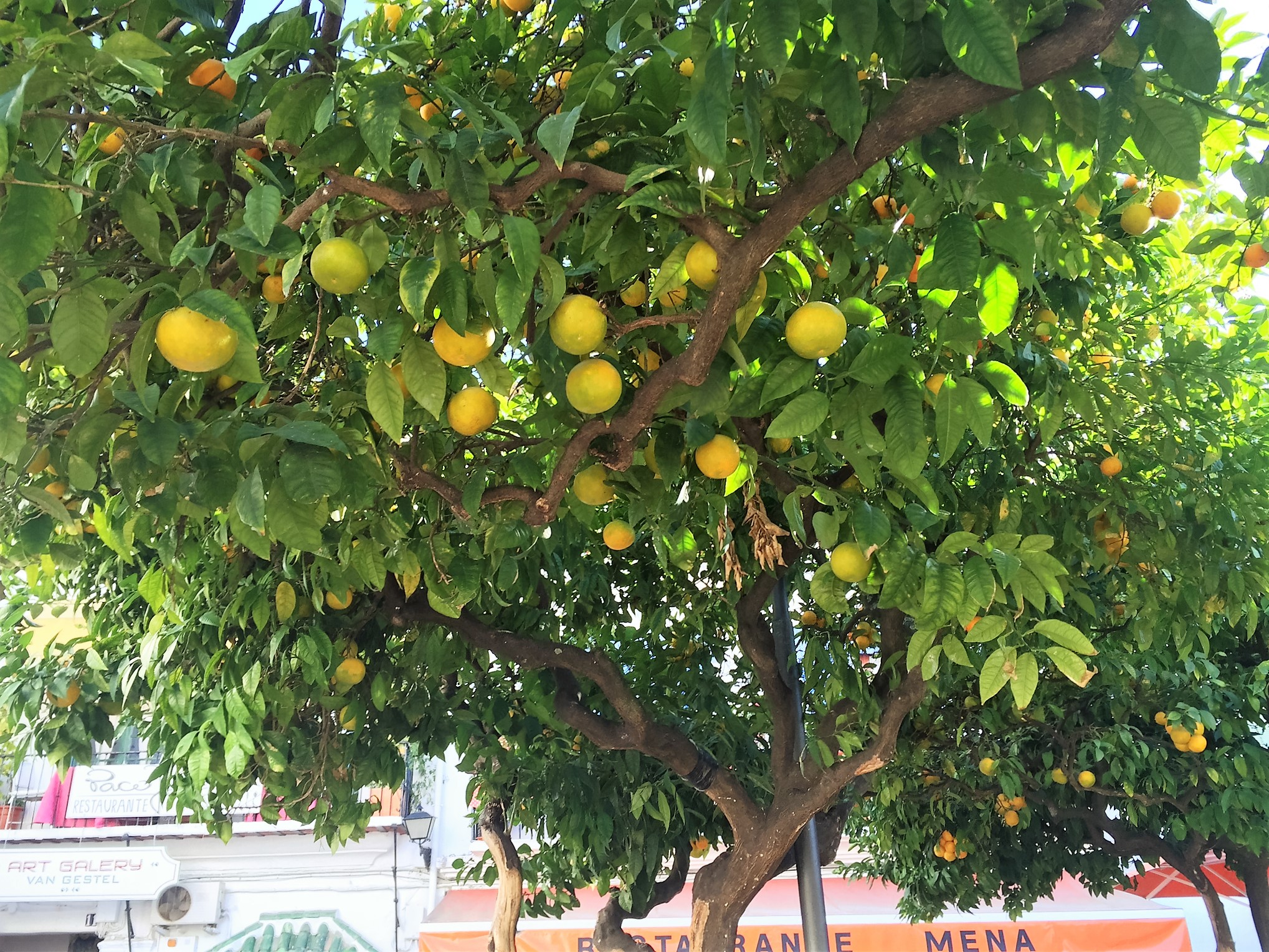 01f3e37307eba7e90316acdd08ce821ee5f6cf4d27